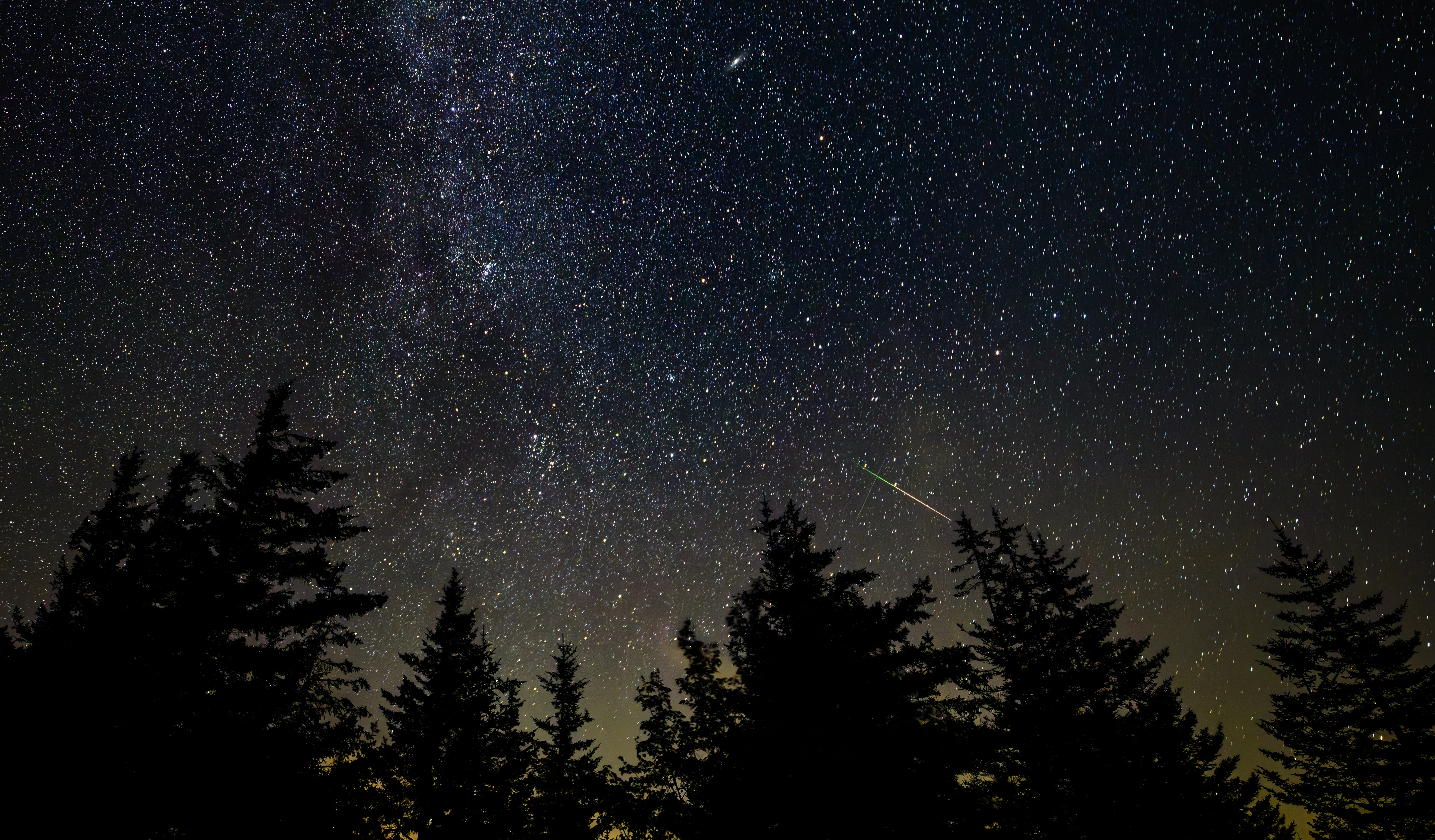 A single meteor streaks across a star-filled night sky above the dark treeline of Spruce Knob, West Virginia, during the annual Perseid meteor shower