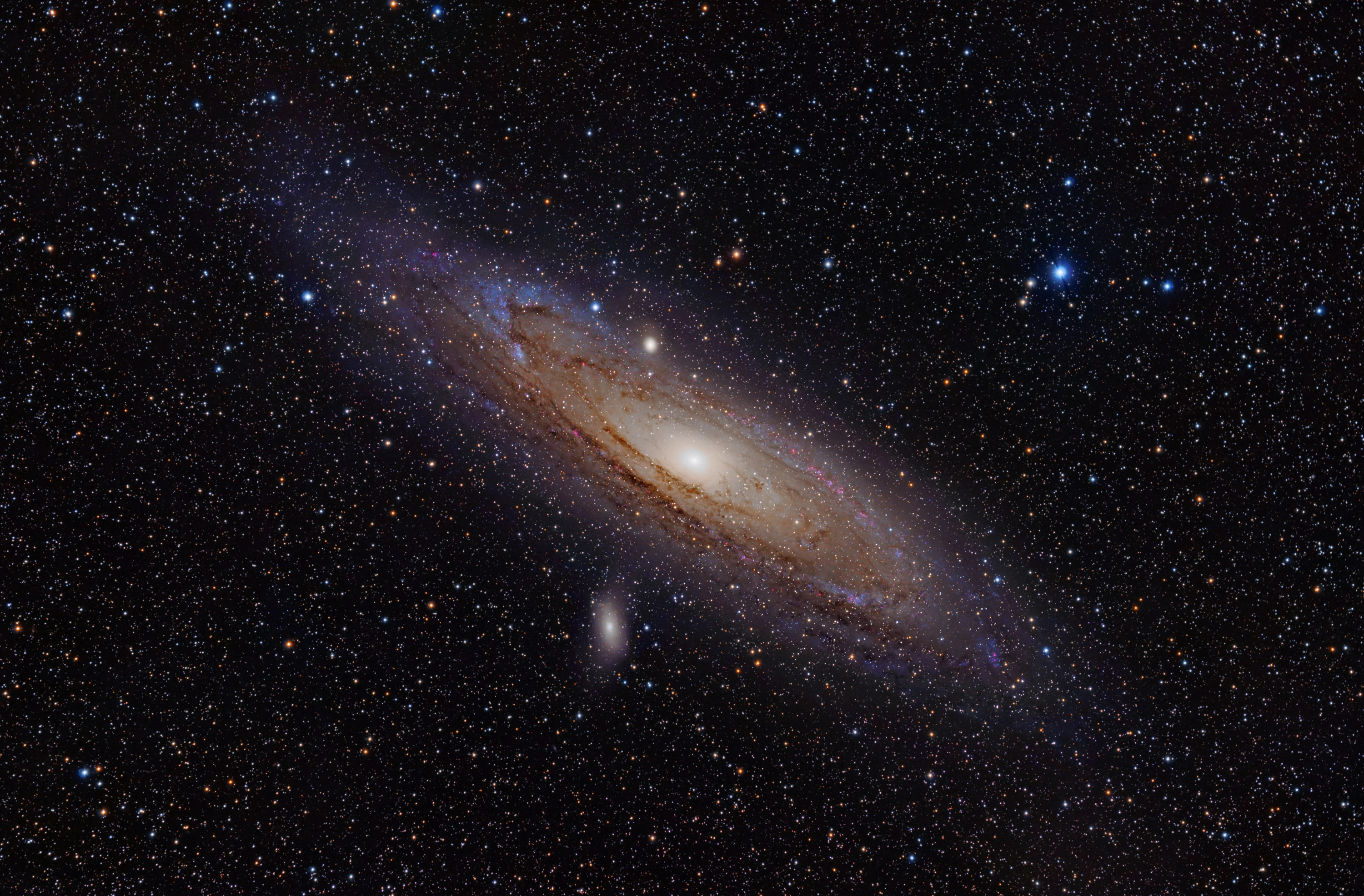 The Andromeda Galaxy (M31), a bright oval spiral tilted almost edge-on with dark dust lanes crossing its glowing white core, surrounded by a dense field of foreground stars, with the small companion galaxies M32 and M110 nearby.
