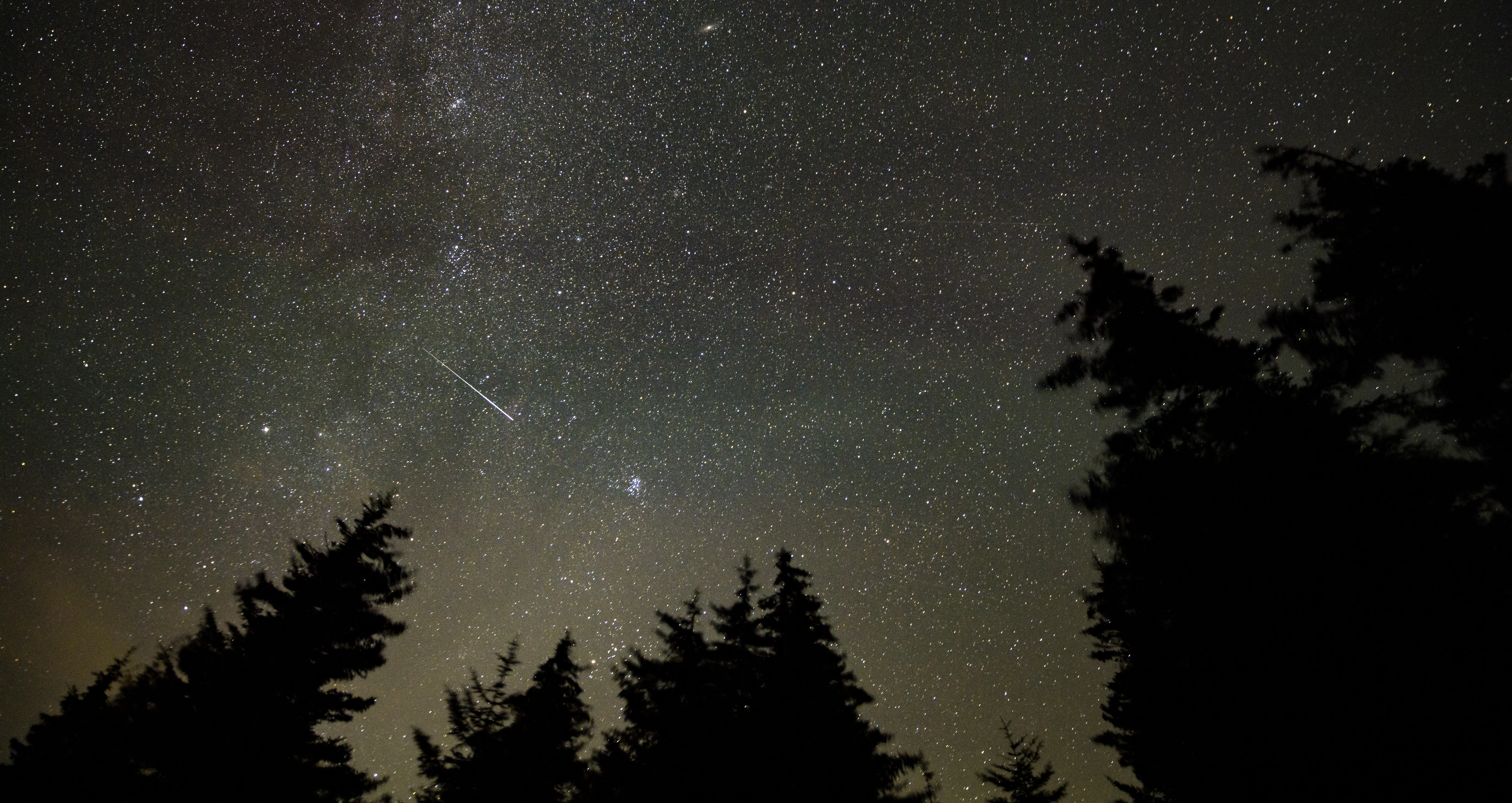 A single Perseid meteor streaks across a star-filled sky in a 30-second exposure above the dark treeline of Spruce Knob, West Virginia