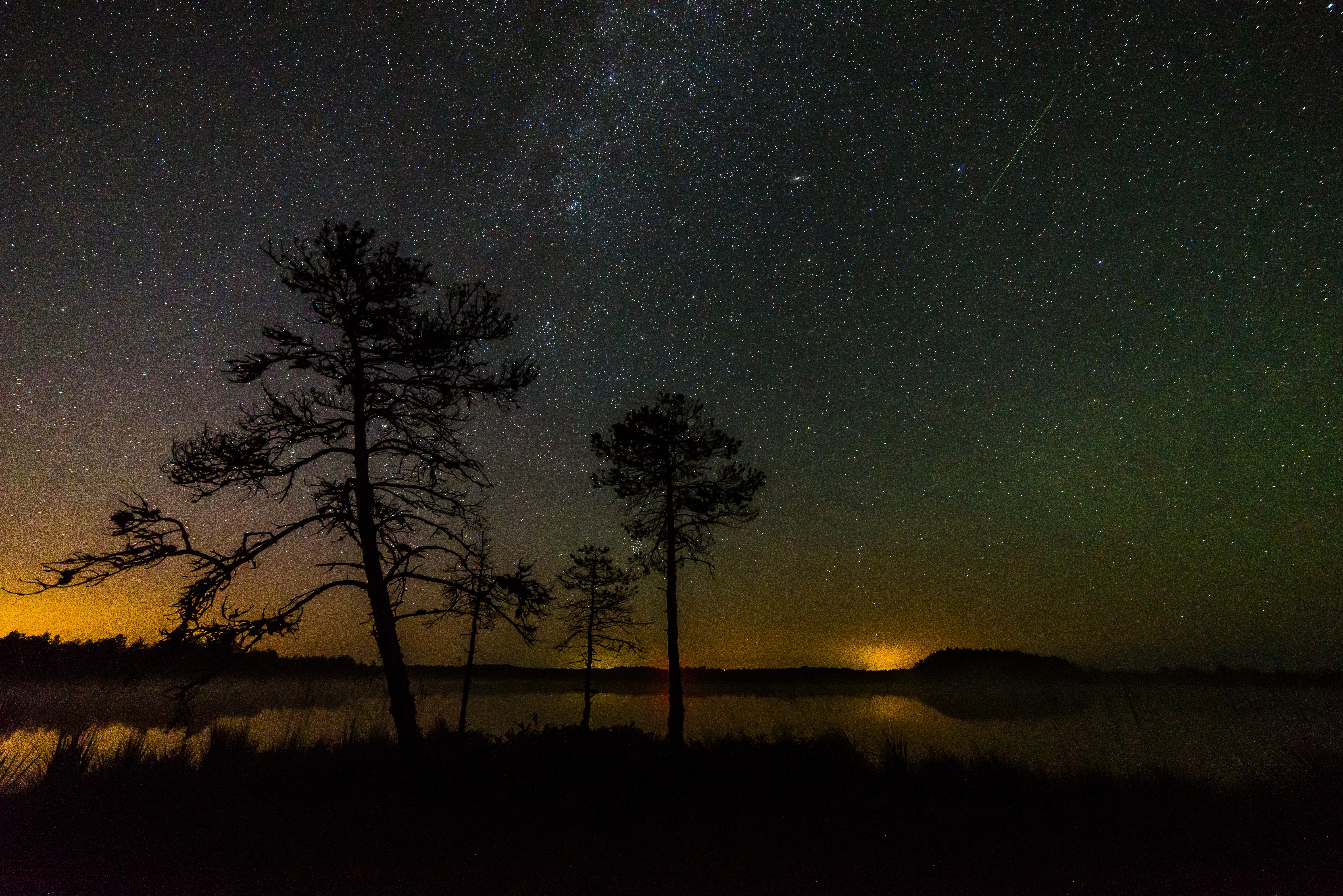 A single Perseid meteor crossing the Milky Way with the Andromeda galaxy overhead, above a treeline lit by light pollution on the horizon, at Luhasoo bog in Estonia