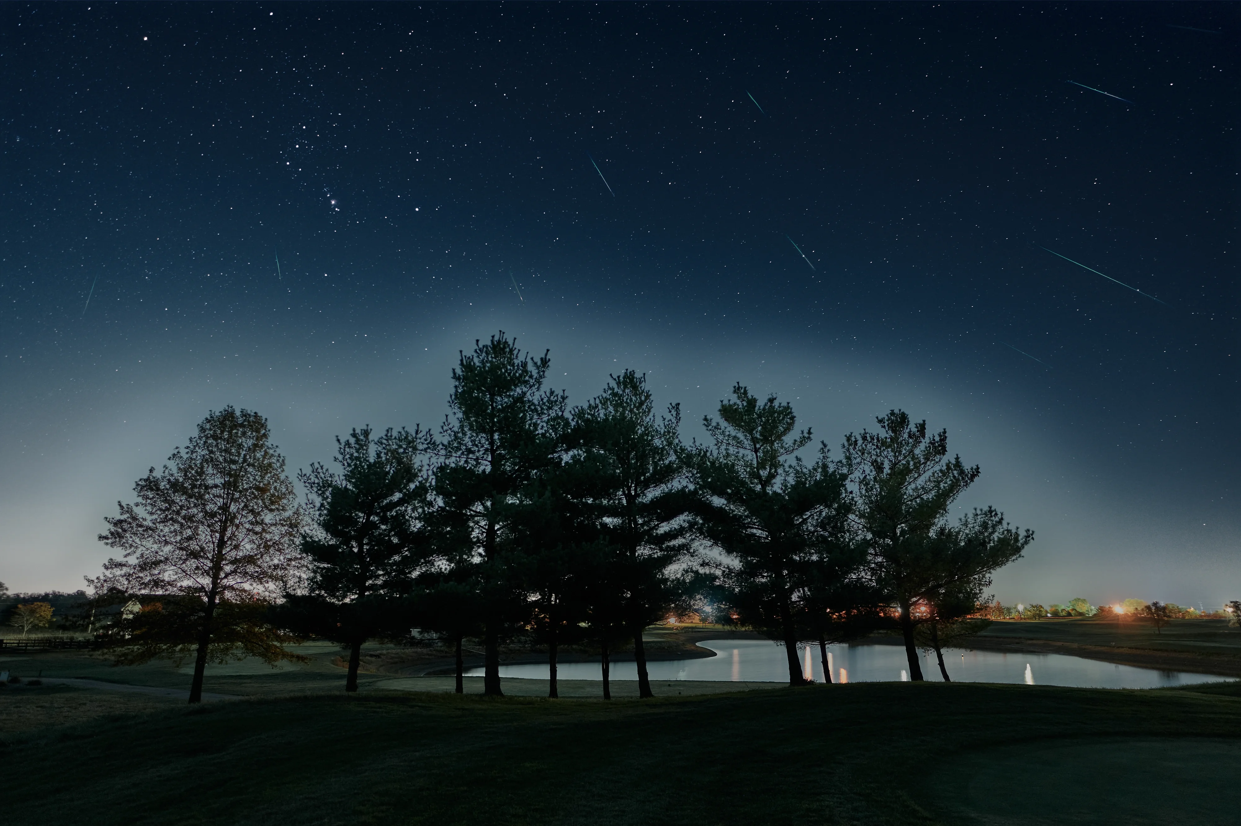 Composite night photograph of the Orionid meteor shower: about a dozen thin meteor streaks cross a dark blue starry sky above a row of silhouetted pine trees and a pond, with the constellation Orion visible at upper left.